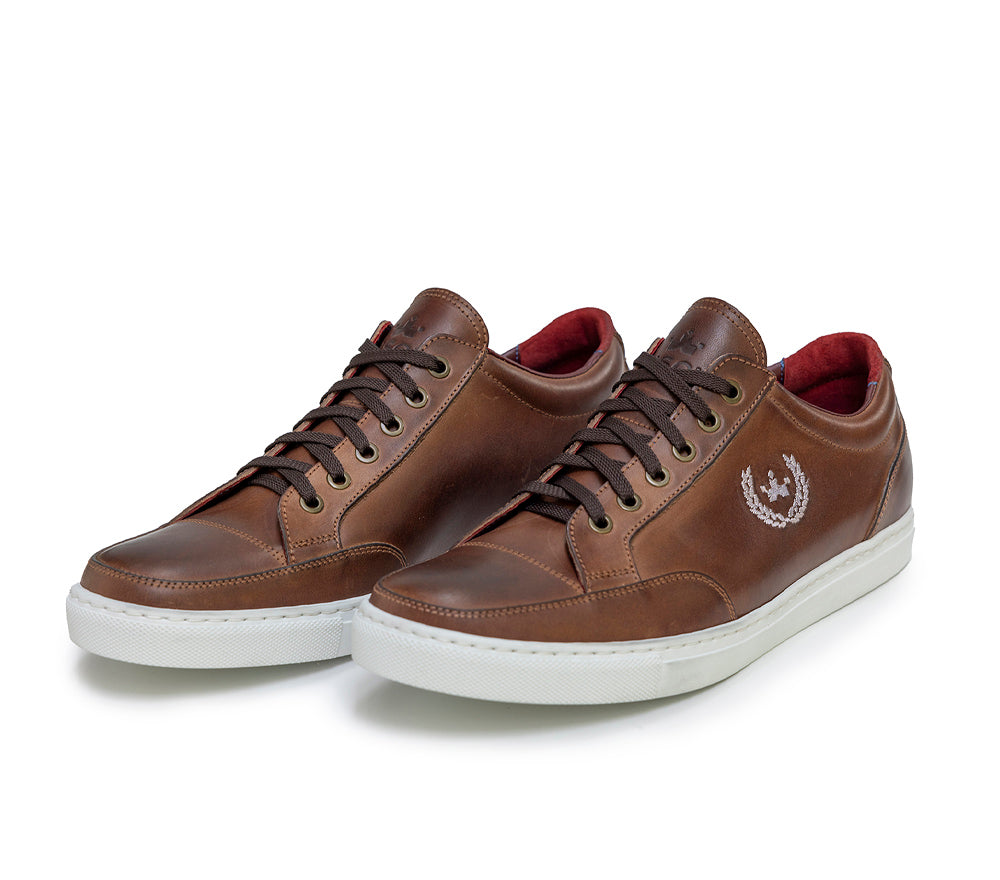 Sneaker KING - limited edition